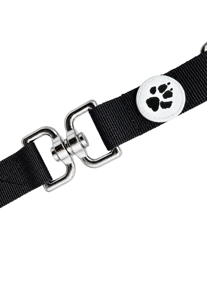 Swivel giratorio Black Paw