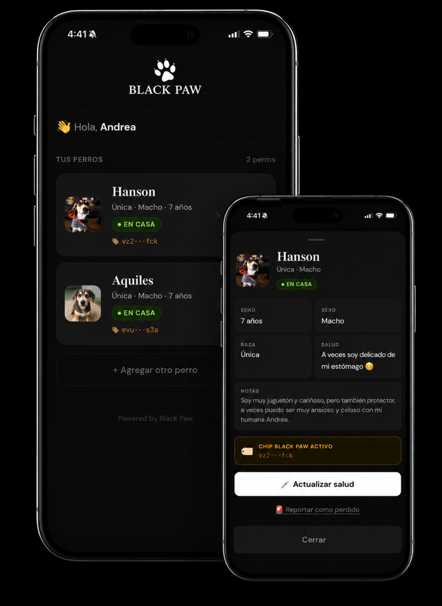 Llavero Black Paw