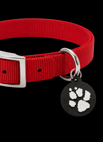 Collar con chip