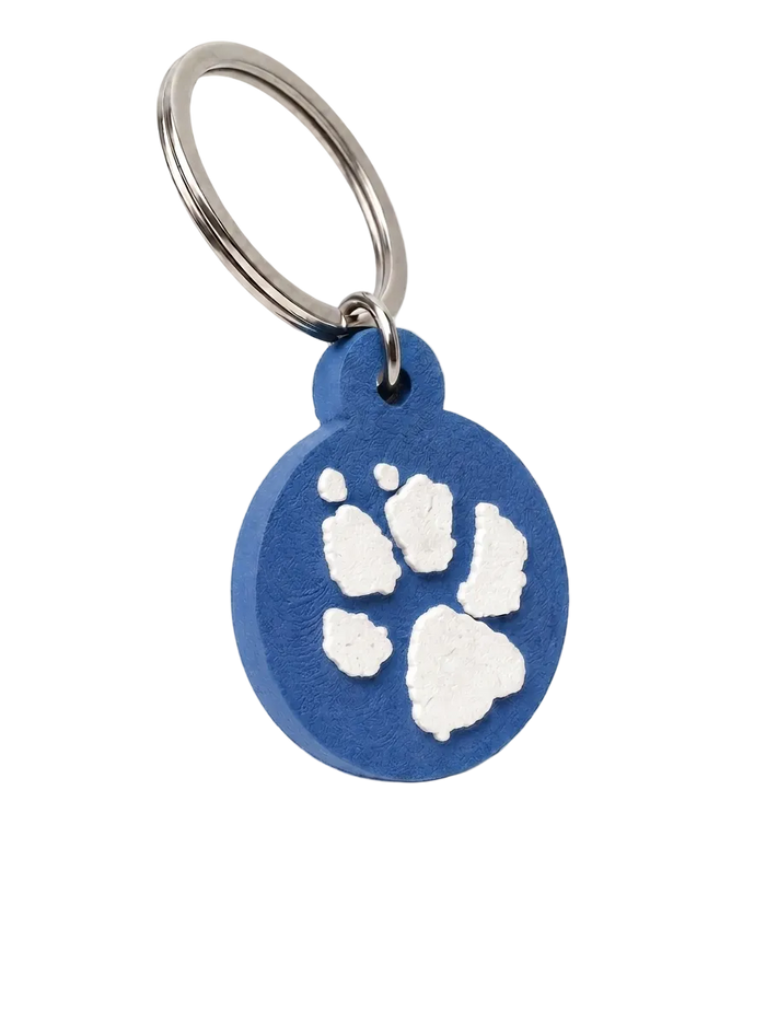 Placa Black Paw color Azul